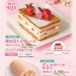 母の日限定デコレーションケーキ★ご予約受付中♪